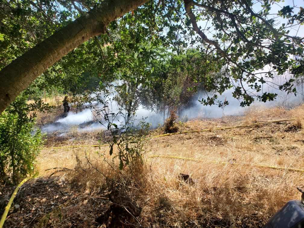 Grass Fire Extinguished